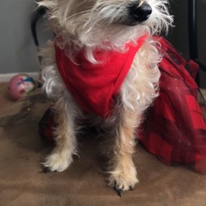 Red dress w/Black details